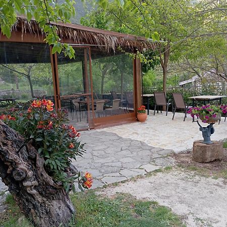 Hotel Xenonas Souliou Samonída Exteriér fotografie